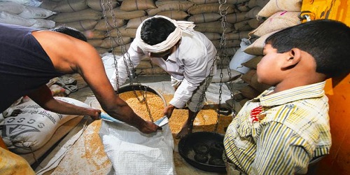 Distribution of Food